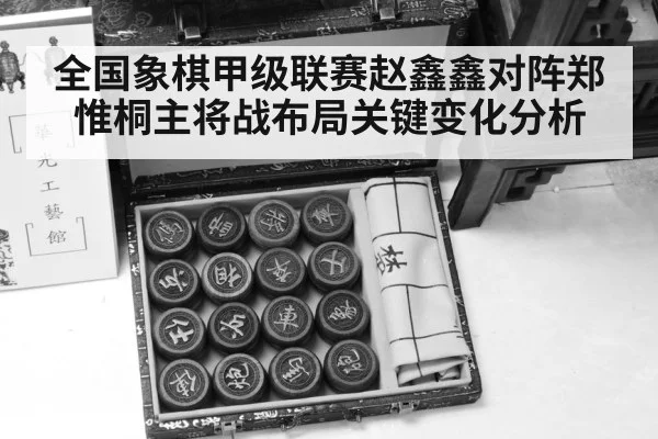 chinese chess pieces